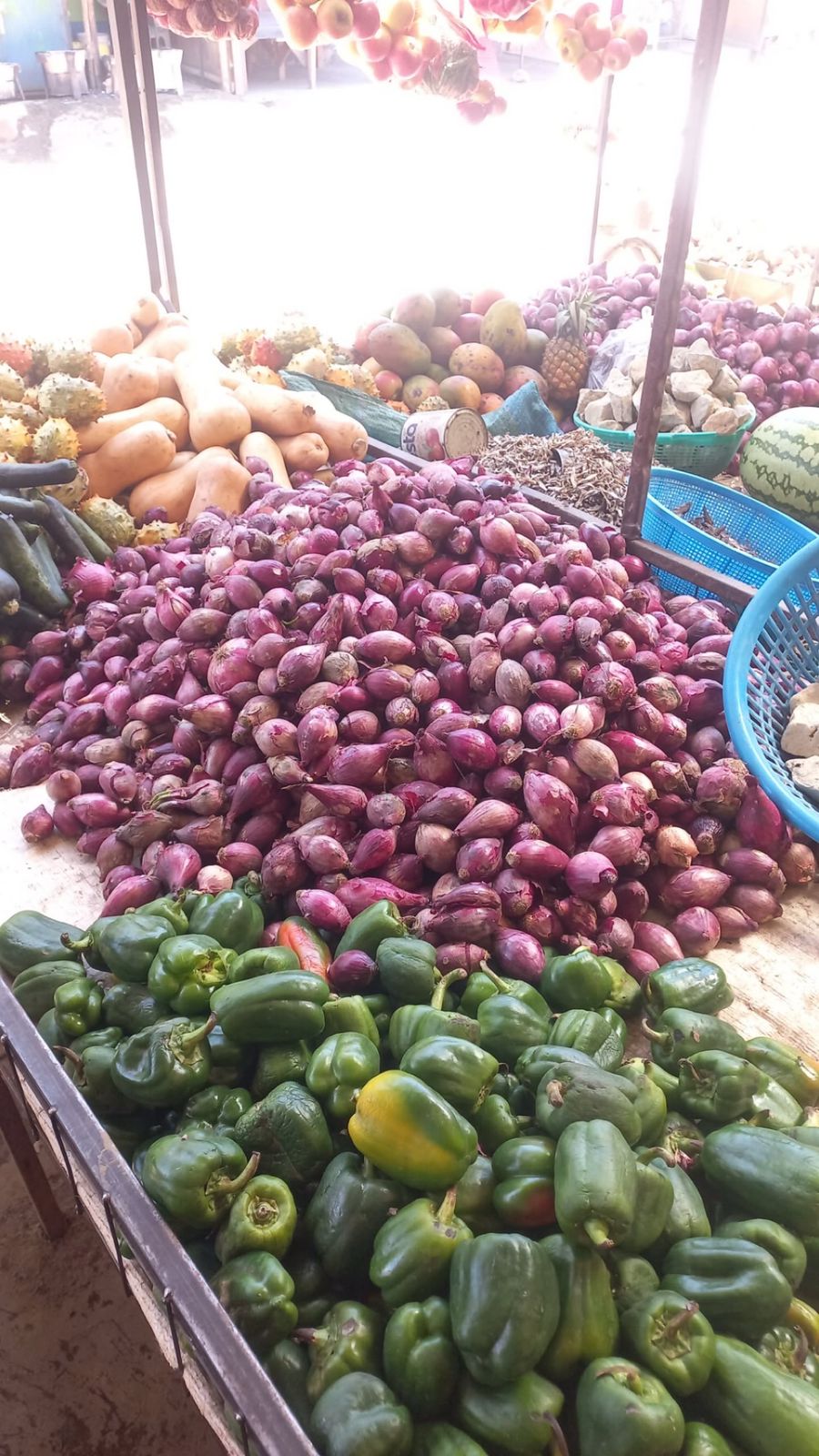 Dry & Processed Food Supplies 1